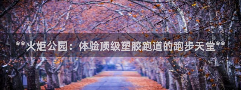 谈球吧在线观看：**火炬公园：体验顶级塑胶跑道的跑步天堂**