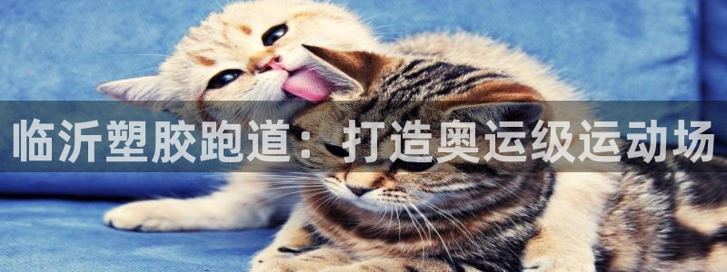 谈球吧app官方下载：临沂塑胶跑道：打造奥运级运动场