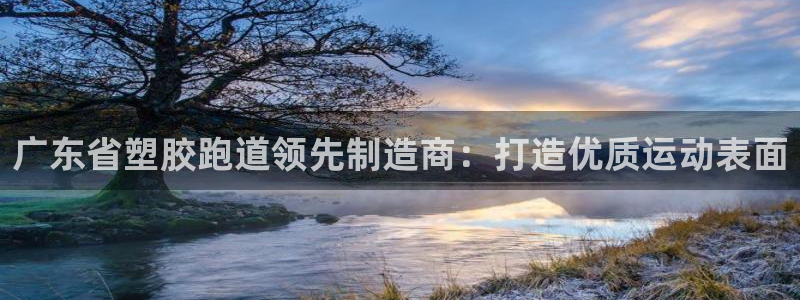 谈球吧nba：广东省塑胶跑道领先制造商：打造优质运动表面