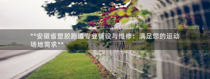 谈球吧：**安徽省塑胶跑道专业铺设与维修：满足您的运动
场地需求**