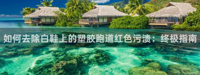 谈球吧网页版