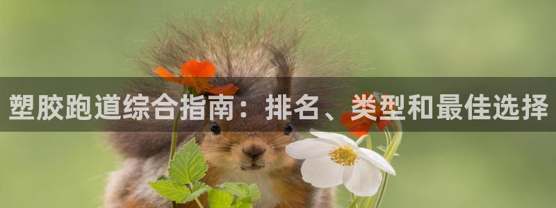 谈球吧下载地址