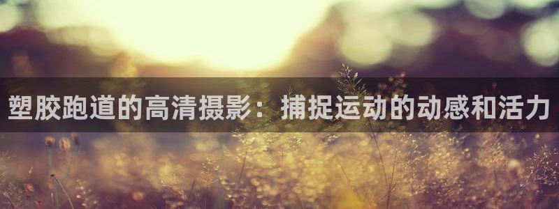 谈球吧app体育：塑胶跑道的高清摄影：捕捉运动的动感和活力