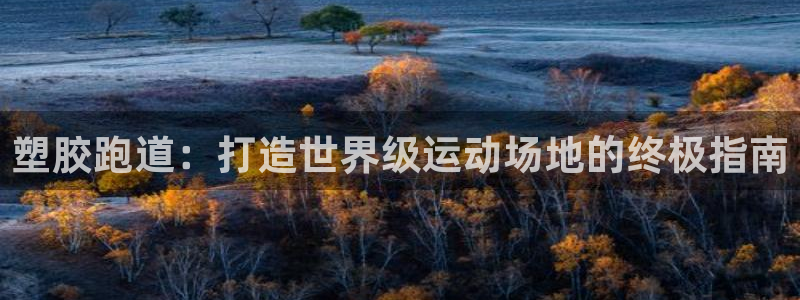 谈球吧怎么充值