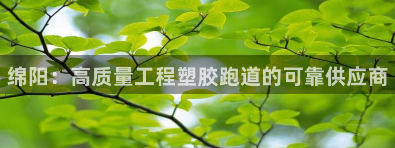 谈球吧平台正规吗可信吗安全吗：绵阳：高质量工程塑胶跑