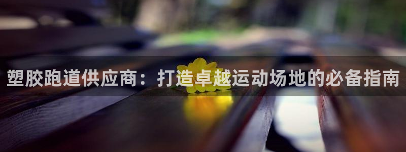 谈球吧电子app：塑胶跑道供应商：打造卓越运动场地的必备指南