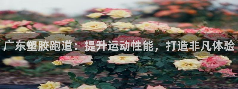 谈球吧体育app下载足球比赛视频：广东塑胶跑道：提升运动性能，打造非凡体验
