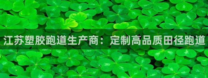 谈球吧买球提现：江苏塑胶跑道生产商：定制高品质田径跑道