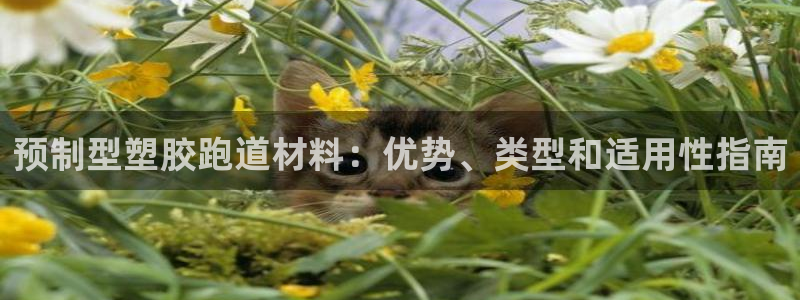 谈球吧体育app登陆