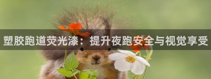 谈球吧体育在线：塑胶跑道荧光漆：提升夜跑安全与视觉享受