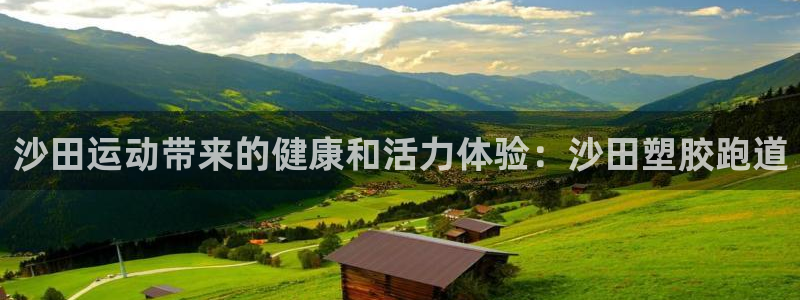 谈球吧体育app下载足球比赛视频：沙田运动带来的健康和活力体验：沙田塑胶跑道