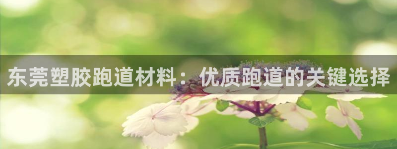 谈球吧体育app官网：东莞塑胶跑道材料：优质跑道的关键选择