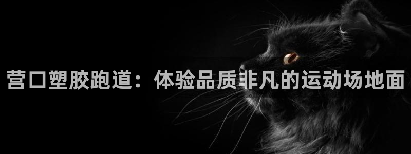 谈球吧体育app下载官网苹果：营口塑胶跑道：体验品质非凡的运动场地面