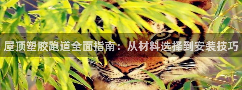 谈球吧登录地址：屋顶塑胶跑道全面指南：从材料选择到安装技巧