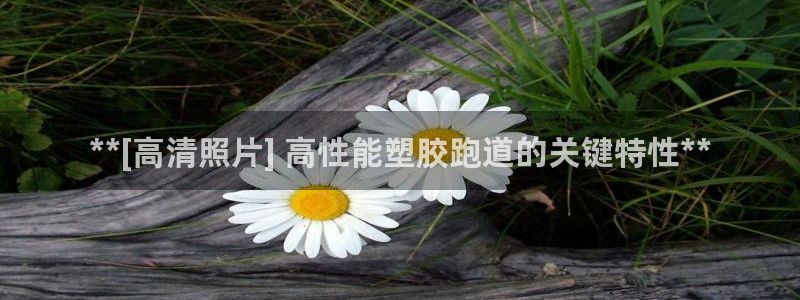 谈球吧中国：**[高清照片] 高性能塑胶跑道的关键特性**