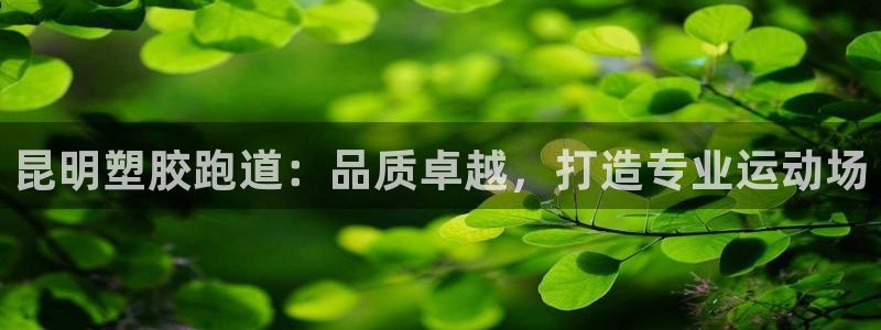 谈球吧官网在线入口免费观看视频