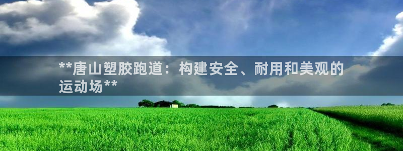 谈球吧网页版在线入口：**唐山塑胶跑道：构建安全、耐