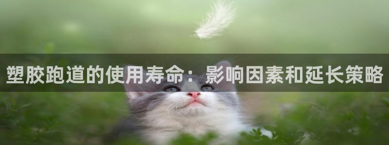 谈球吧平台正规吗可靠吗知乎：塑胶跑道的使用寿命：影响因素和延长策略