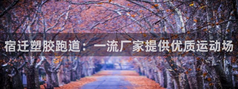 谈球吧的聊天软件叫什么名字：宿迁塑胶跑道：一流厂家提供优质运动场