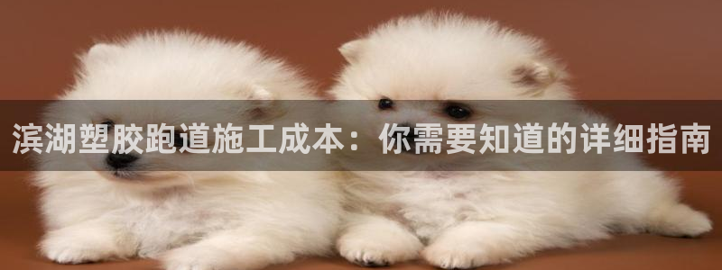 谈球吧平台正规吗可靠吗安全吗：滨湖塑胶跑道施工成本：你需要知道的详细指南