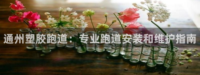 谈球吧平台app下载网址是什么：通州塑胶跑道：专业跑道安装和维护指南
