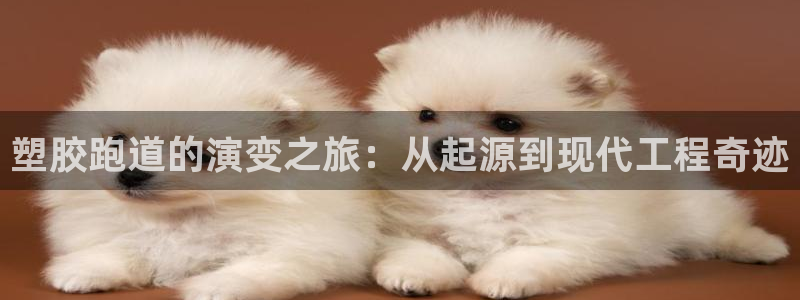 谈球吧靠谱吗：塑胶跑道的演变之旅：从起源到现代工程奇迹