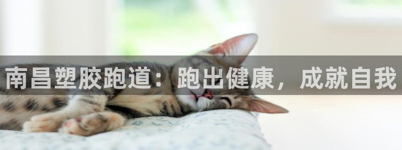 谈球吧app赛事分析在哪里看：南昌塑胶跑道：跑出健康，成就自我