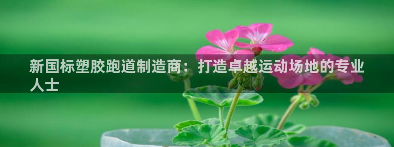 谈球吧红包激活码：新国标塑胶跑道制造商：打造卓越运动场地的专业
人士