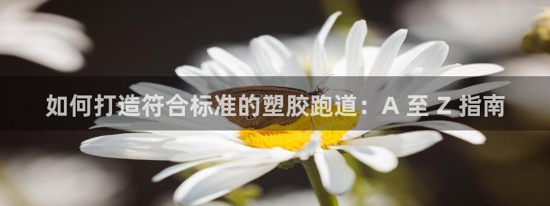 谈球吧是黑台子吗是真的吗：如何打造符合标准的塑胶跑道：A 至 Z 指南