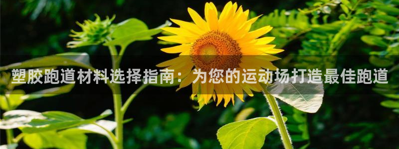 谈球吧体育app登陆不上：塑胶跑道材料选择指南：为您的运动场打造最佳跑道