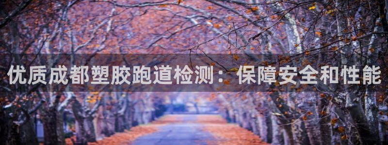 谈球吧言网入口：优质成都塑胶跑道检测：保障安全和性能
