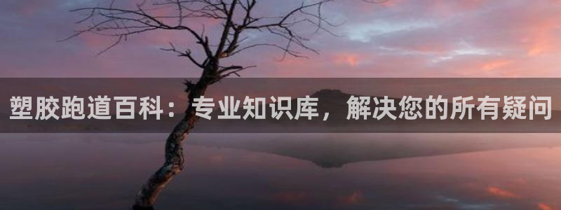 谈球吧不出款：塑胶跑道百科：专业知识库，解决您的所有疑问
