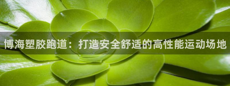 谈球吧是否诈骗：博海塑胶跑道：打造安全舒适的高性能运动场地