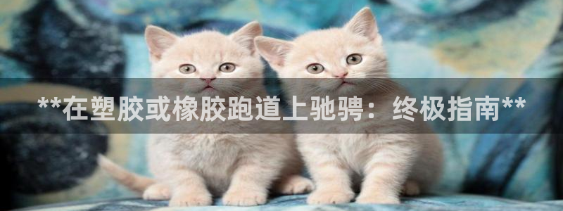 谈球吧首页：**在塑胶或橡胶跑道上驰骋：终极指南**