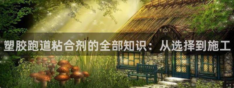 谈球吧体育app登陆不上：塑胶跑道粘合剂的全部知识：