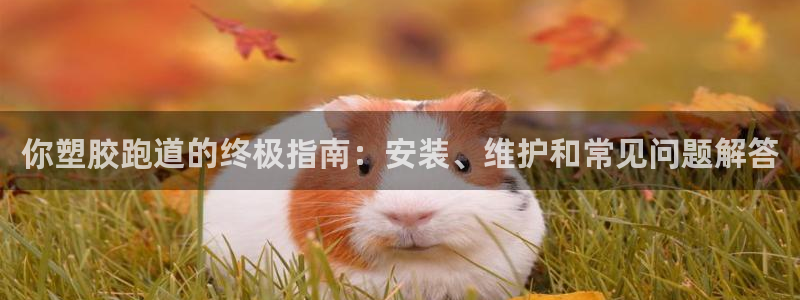 谈球吧体育ios下载：你塑胶跑道的终极指南：安装、维护和常见问题解答