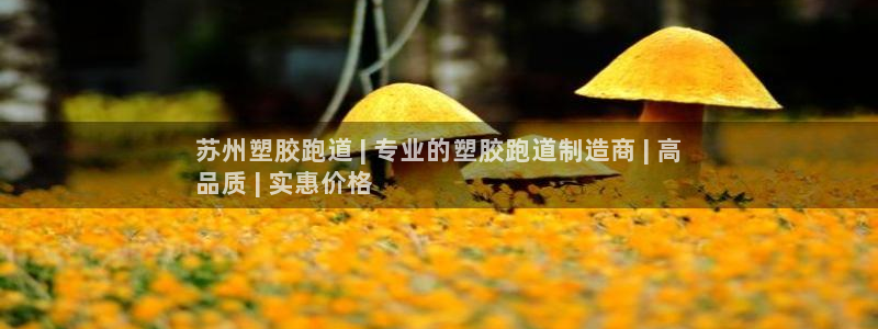 谈球吧体育app官网下载