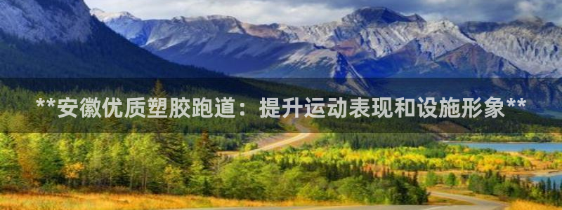 谈球吧真人：**安徽优质塑胶跑道：提升运动表现和设施形象**