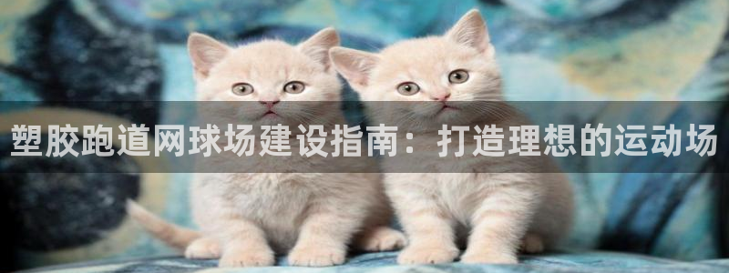 谈球吧网址：塑胶跑道网球场建设指南：打造理想的运动场