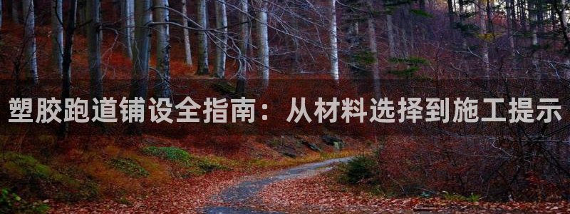 谈球吧买球提现：塑胶跑道铺设全指南：从材料选择到施工提示