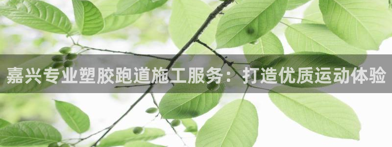 谈球吧入口：嘉兴专业塑胶跑道施工服务：打造优质运动体验