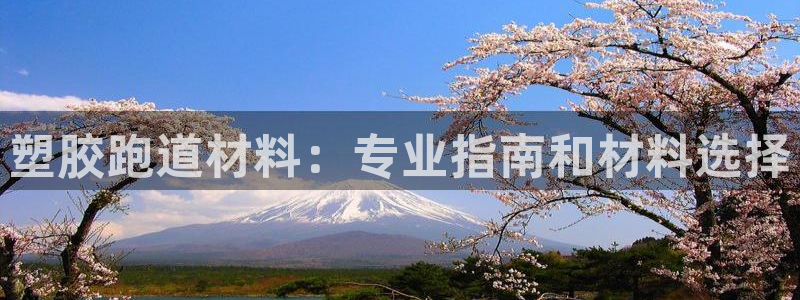 谈球吧红包激活码：塑胶跑道材料：专业指南和材料选择