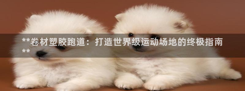 谈球吧怎么样?：**卷材塑胶跑道：打造世界级运动场地的终极指南
**