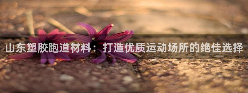 谈球吧不出款：山东塑胶跑道材料：打造优质运动场所的绝