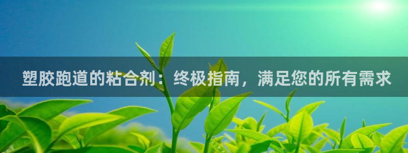 谈球吧官网在线入口免费观看高清版： 塑胶跑道的粘合剂：终极指南，满足您的所有需求