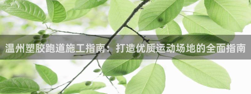 谈球吧体育app官网下载安卓：温州塑胶跑道施工指南：打造优质运动场地的全面指南