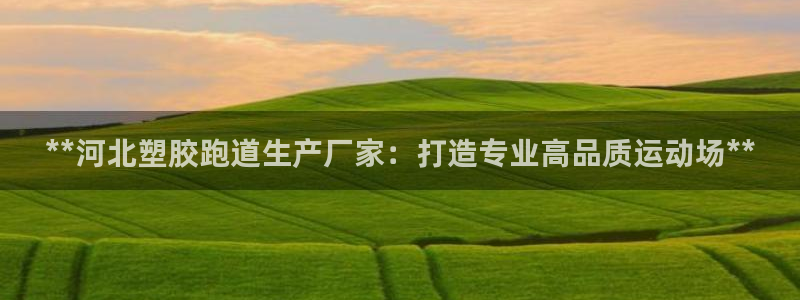 谈球吧app下载安装：**河北塑胶跑道生产厂家：打造专业高品质运动场**