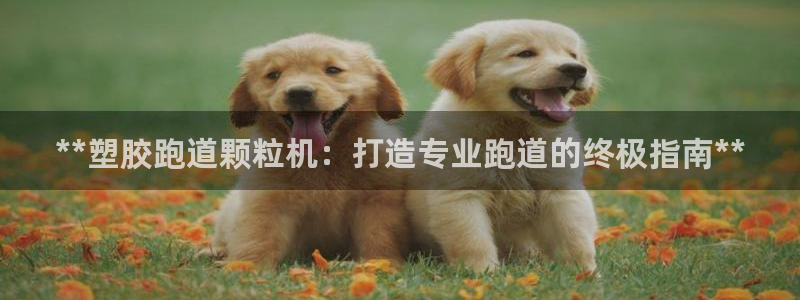 谈球吧体育app下载足球比赛直播：**塑胶跑道颗粒机