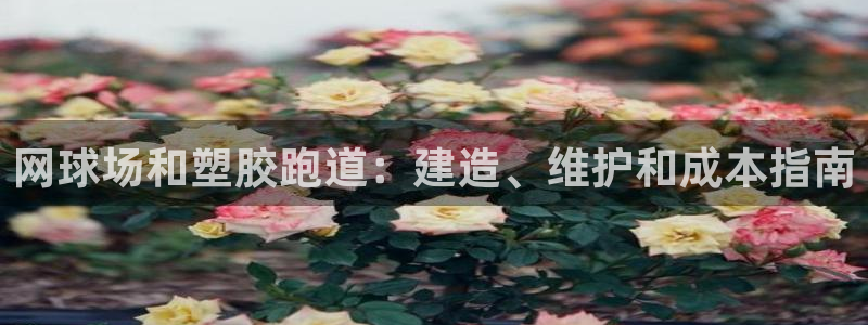 谈球吧app赛事分析在哪里看：网球场和塑胶跑道：建造、维护和成本指南