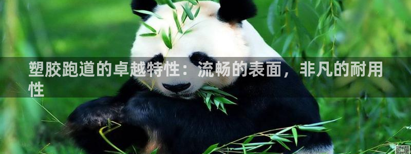 谈球吧黑款不：塑胶跑道的卓越特性：流畅的表面，非凡的耐用
性